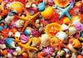 Miniatyrbild 2 av 2: Educa Shell Collage Pussel 1000 bitar