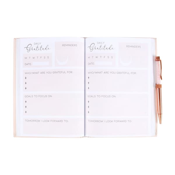 Something Different Gratitude Rose Quartz Diary And Pen