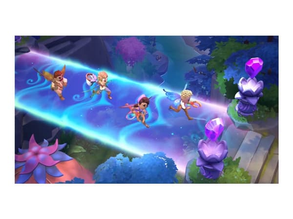 Nintendo Fae Farm, Nintendo Switch, Multiplayer-tilstand, A10+ (alle 10+), Fysiske medier