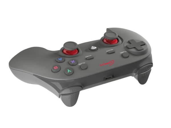 Natec Genesis PV65 - Håndkonsoll - 12 knapper - trådløs - for PC, Sony PlayStation 3