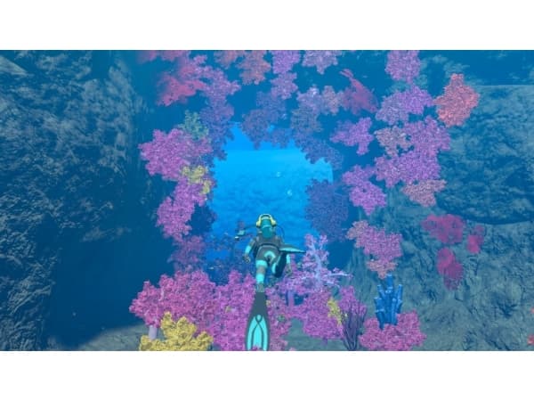 Nintendo Endless Ocean Luminous (Switch), Nintendo Switch, Flerspillermodus, Fysisk medium
