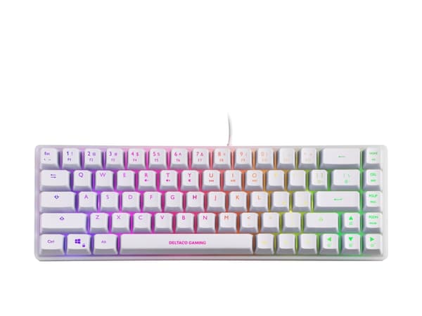 DELTACO GAMING WK70 - Tangentbord - 60% - compact - bakgrundsbelyst - USB - QWERTY - amerikansk - halvgenomskinlig, vit