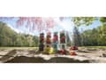 Miniatyrbild 5 av 5: NutriBullet Portable 0,475 L Sportmixer Vit