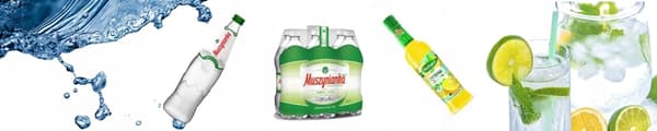 Marietidseljuice EkaMedica Marietidsel 500 ml