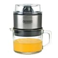 Miniatyrbillede 1 af 3: Bourgini Classic Lotte Juicer DeLuxe 0,75L 60W