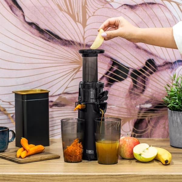 Slow juicer