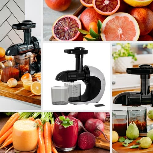 AD 4130 Slow juicer - skruvpressmekanism