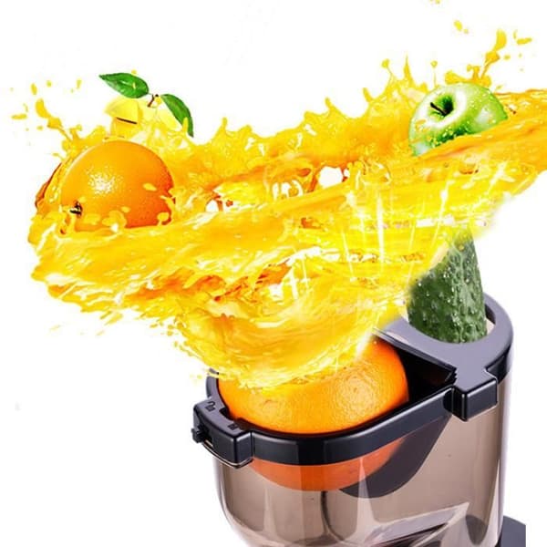 Inhemsk juicepress, separation av rester av juice, Köttprodukter, Grönsaker, Frukt, Helautomatisk juicepress