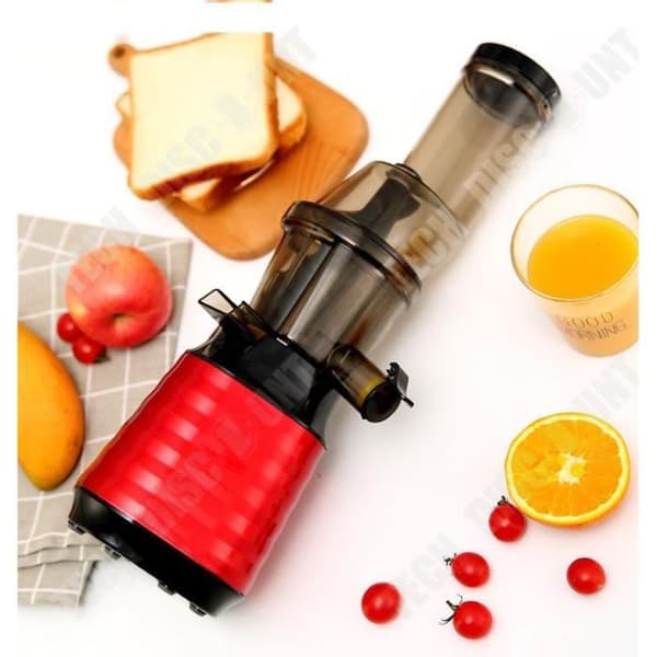 TD® Juicer Professional Large Caliber Råfruktjuicemaskin Slaggjuicesepareringsmaskin