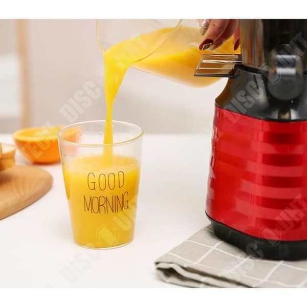 TD® Juicer Professional Large Caliber Råfruktjuicemaskin Slaggjuicesepareringsmaskin