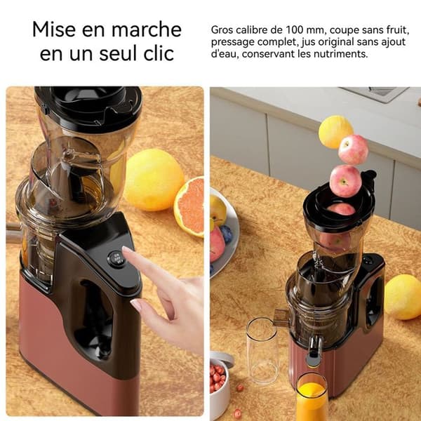 Citruspress - INN® - 350W - Rostfritt stål - Multifunktionell - 48 varv/minut