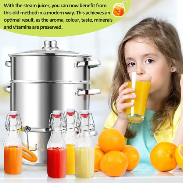 Ångsaftcentrifug Induktion rostfritt stål Juicer Fruktsaftcentrifug Juicer