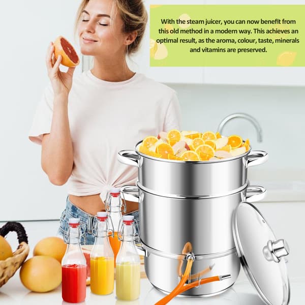 Ångsaftcentrifug Induktion rostfritt stål Juicer Fruktsaftcentrifug Juicer