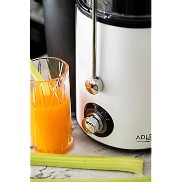 Adler AD 4128 juicepress