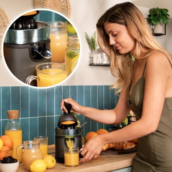 Elektryck citruspress - EssentialVita - Hyden 120 - 120 W - Två avtagbara koner - Lång spak