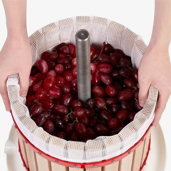 Frugtpresse 30 L