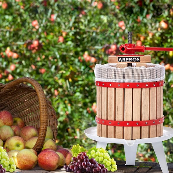 Frugtpresse 30 L
