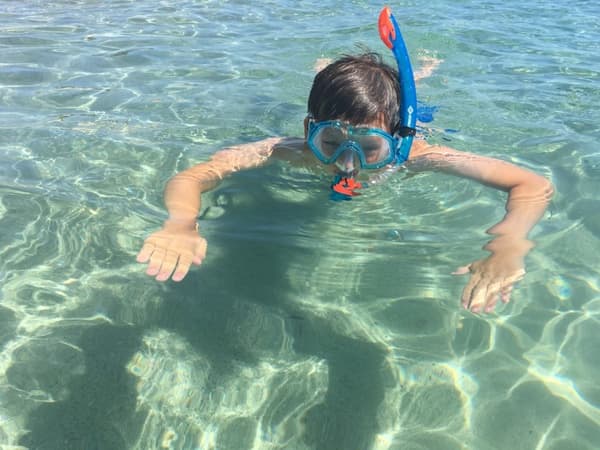 Schildkröt Funsports Barbados