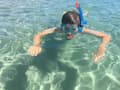 Pikkukuva 7 / 7: Schildkröt Funsports Barbados