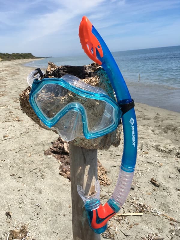 Schildkröt Funsports Barbados