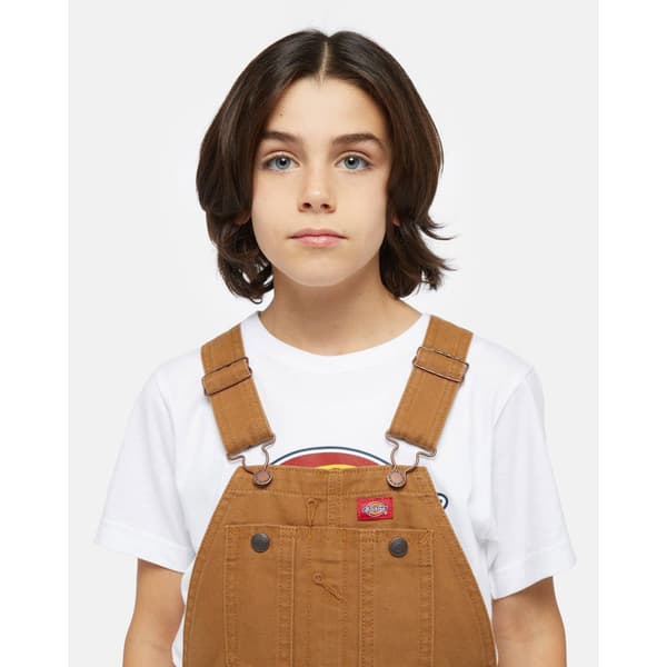 Dickies Duck Heldragt Brun S / Regular Mand