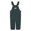 Miniatyrbillede 1 af 9: Levi´s ® Kids Carpenter Playsuit Grøn 36 Months