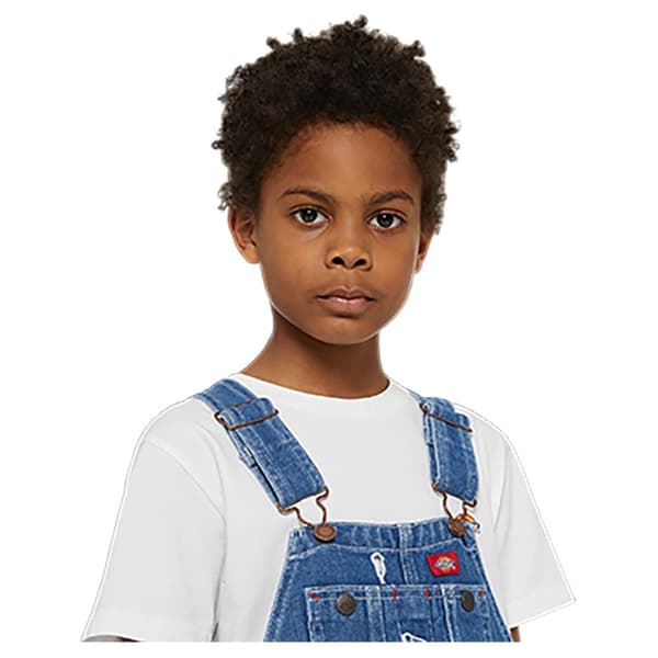 Dickies Denim Heldragt Blå 2XS / Regular Mand