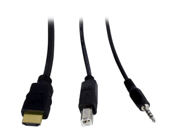 Argus KVM AS-22HA - KVM / lydsvitsj - 2 x KVM/lyd - stasjonær