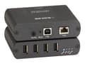 Miniatyrbild 2 av 5: Black Box - USB-förlängningskabel - USB 2.0 - 4 portar - upp till 100 m