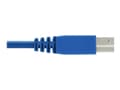 Miniatyrbild 5 av 5: Eaton Tripp Lite Series DisplayPort KVM Cable Kit for Tripp Lite B005-DPUA2-K and B005-DPUA4 KVM, 4K DP, USB 3.1, 3.5 mm, 10 ft. - Video/USB-/ljudkab
