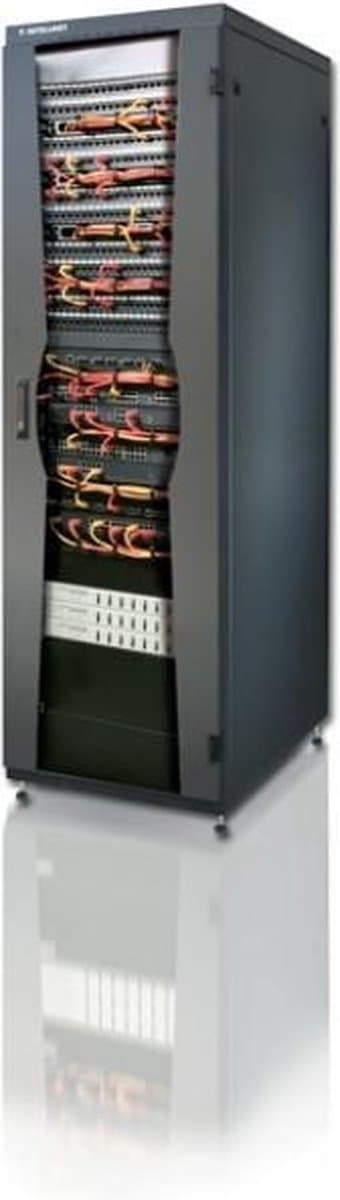Intellinet I-CASE FP-4218BKX Fritstående stativ 42U 750 kg Sort stativ