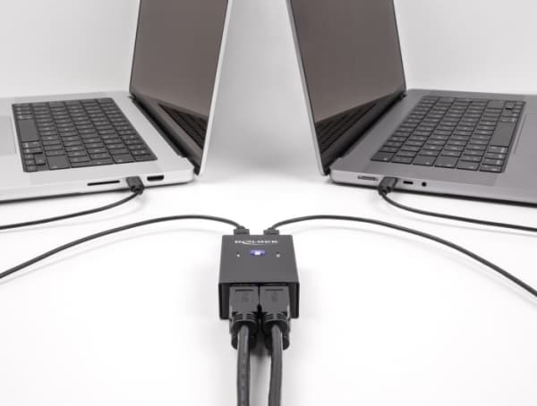 Delock - USB switch - 2 PC to 4 devices - 6 x USB 2.0 - stasjonær