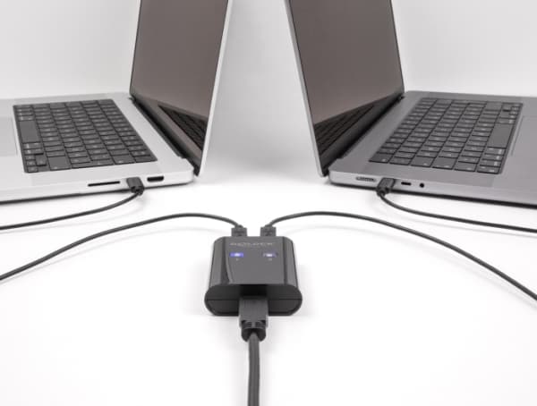 Delock - USB switch - 5 Gbps, 2 PC to 1 device - 2 x USB - stasjonær