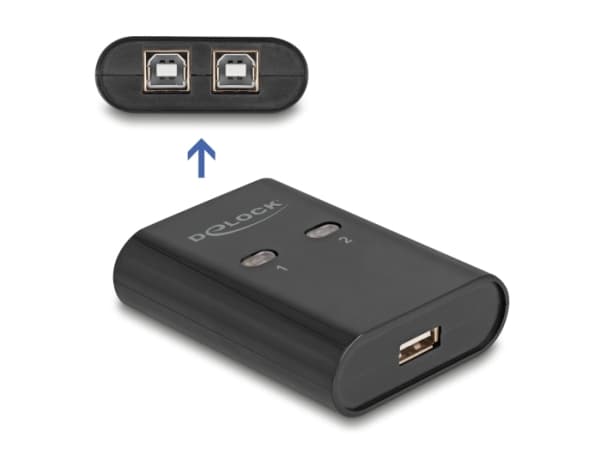 Delock - USB-växel - 2 x USB 2.0 - väggmonterbar, bordsmonterbar