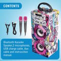 Miniatyrbild 3 av 4: Karaokehögtalare för barn - Tendrix - 2 mikrofoner - Bluetooth - AUX - FM-radio - USB
