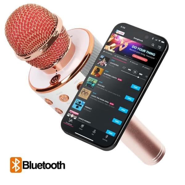 Mikro Karaoke Bluetooth Högtalare med inbyggda multifunktionsknappar Champagne Rosa