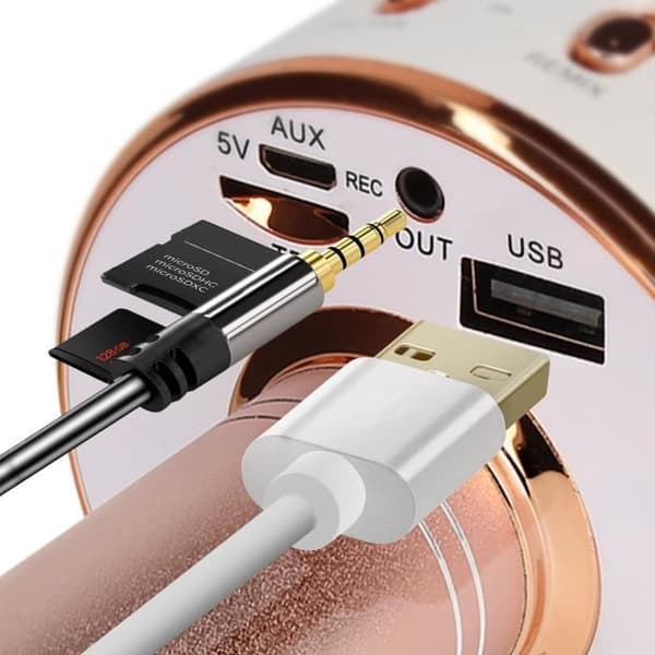 Mikro Karaoke Bluetooth Högtalare med inbyggda multifunktionsknappar Champagne Rosa