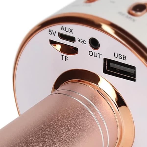 Mikro Karaoke Bluetooth Högtalare med inbyggda multifunktionsknappar Champagne Rosa