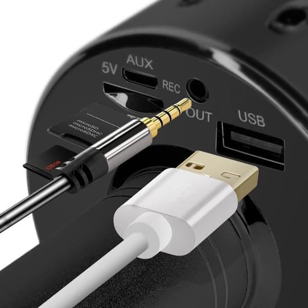Mikro Karaoke Bluetooth Högtalare inbyggd Multifunktionsknappar Svart