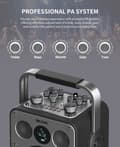 Miniatyrbillede 4 af 4: Karaoke-maskine, Bluetooth-forbindelse, 2 kanaler