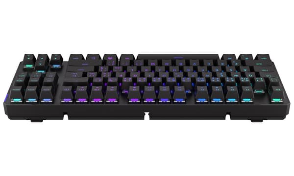 Endorfy herní klávesnice Thock TKL Wireless Black / RGB / black sw. / bezdrátová / mechanická / CZ/SK layout / černá