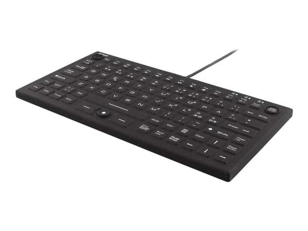 DELTACO TB-509 - Tangentbord - med pekpinne, musknapp - bakgrundsbelyst - USB - Nordisk - svart