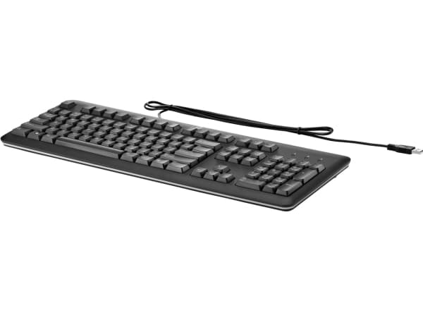 HP USB Standard Keyboard, NL, Full størrelse (100 og), Koblet med ledninger (ikke trådløs), USB, QWERTY, Sort Sort