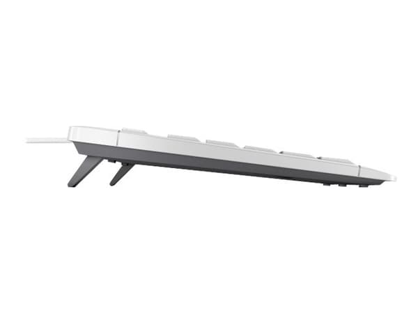 CHERRY STREAM tangentbord USB AZERTY Fransk Vit