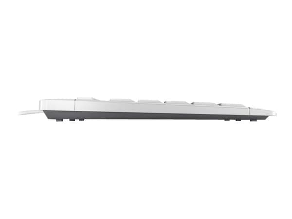 CHERRY STREAM tangentbord USB AZERTY Fransk Vit
