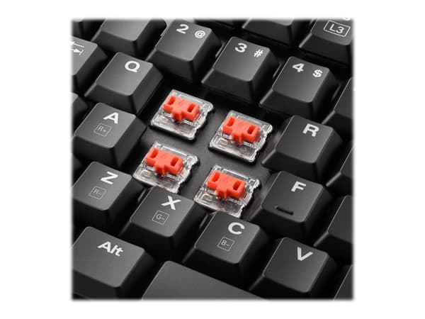 Sharkoon PureWriter TKL RGB - Tangentbord - bakgrundsbelysning - USB - amerikansk - tangentbrytare: Kailh Blue
