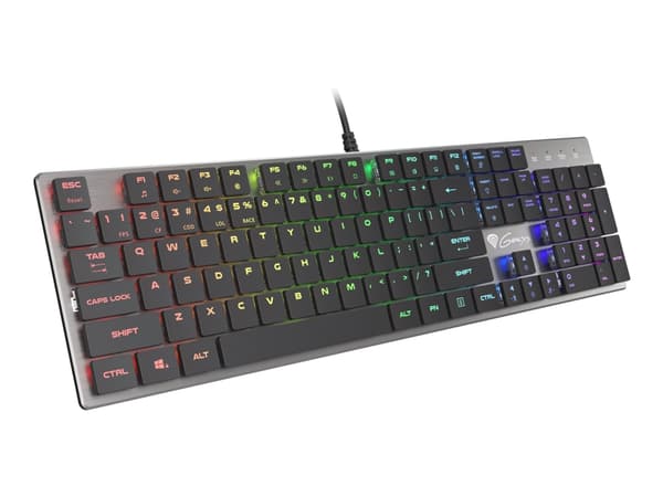 Genesis Thor 420 RGB - Tangentbord - bakgrundsbelyst - USB - amerikansk - tangentbrytare: CONTENT Blue - silver