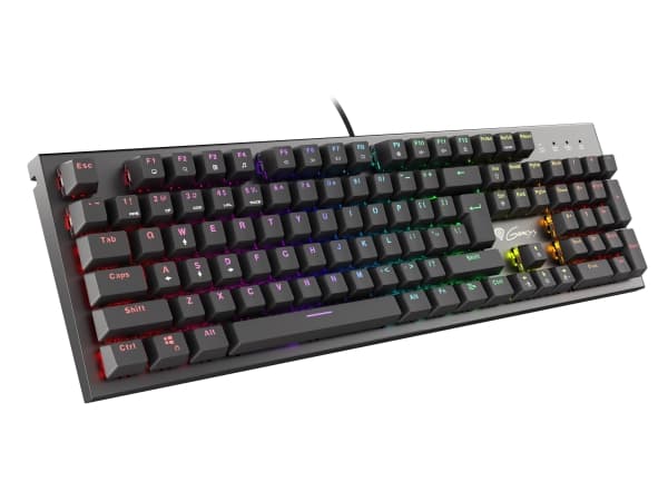 GENESIS Thor 300 RGB, Kabel, USB, Mekaniska tangentbrytare, QWERTY, RGB LED, Svart