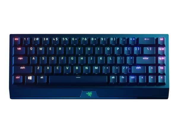Razer BlackWidow V3 Mini HyperSpeed - näppäimistö - taustavalaistu - Bluetooth, 2.4 GHz, USB-C - QWERTY - USA - tastkontakt: Razer Green