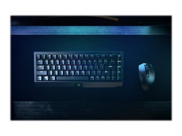 Razer BlackWidow V3 Mini HyperSpeed - näppäimistö - taustavalaistu - Bluetooth, 2.4 GHz, USB-C - QWERTY - USA - tastkontakt: Razer Green